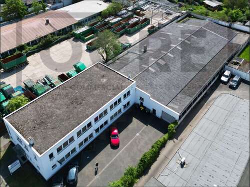 Foto - Halle in Frankfurt am Main 6.000,00 € 532 m²