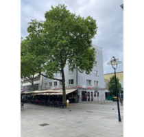 Wohnung zum Mieten in Dortmund 795,00 € 92.03 m²