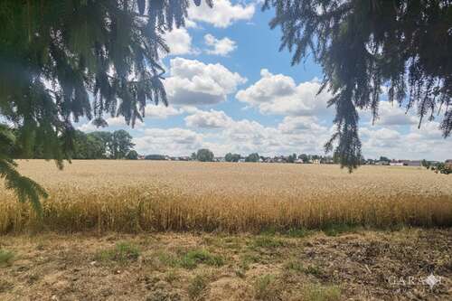 Foto - Grundstück zu verkaufen in Karlshuld 519.000,00 € 1158 m²