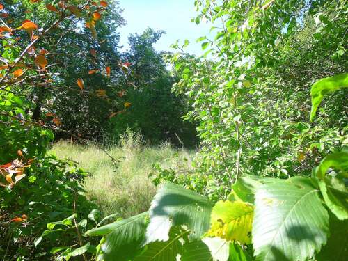 Foto - Grundstück zu verkaufen in Oranienburg 225.000,00 € 868 m²