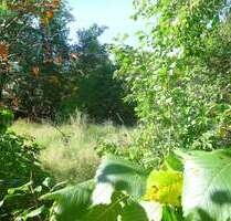 Grundstück zu verkaufen in Oranienburg 225.000,00 € 868 m²