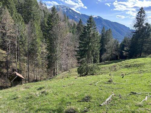 Foto - Grundstück zu verkaufen in Rottach-Egern 249.800,00 € 24980 m²