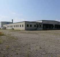 Halle in Garz Rügen 450.000,00 € 3672 m² - Garz/ Rügen