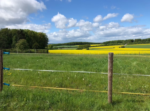 Foto - Grundstück zu verkaufen in Mechernich 270.000,00 € 904 m²