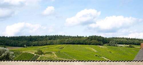 Foto - Wohnung zum Mieten in Kiedrich 530,00 € 50 m²