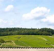 Wohnung zum Mieten in Kiedrich 530,00 € 50 m²