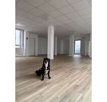 Büro in München 400,00 € 8 m² - 400,00 EUR Kaltmiete, ca.  8,00 m² in München (PLZ: 80636)