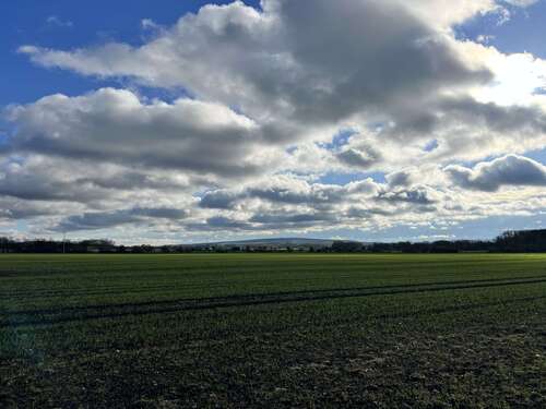 Foto - Grundstück zu verkaufen in Schloßvippach 105.000,00 € 700 m²