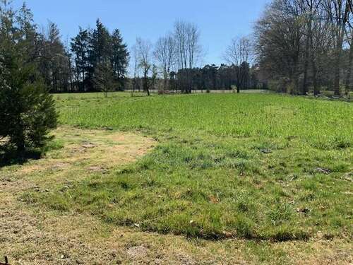 Foto - Haus zum Kaufen in Ladbergen 725.000,00 € 155 m²