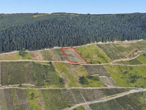Foto - Grundstück in Zell 10.000,00 € 2703 m²
