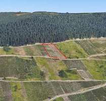 Grundstück in Zell 10.000,00 € 2703 m²