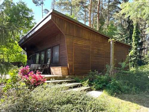 Foto - Haus zum Kaufen in Schweinitz 79.000,00 € 50 m²
