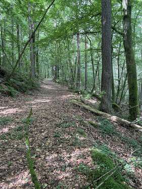 Foto - Grundstück in Lemberg 9.500,00 € 8860 m²