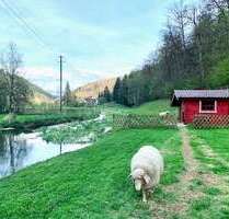 Wohnung zum Mieten in Blaustein 760,00 € 65 m²