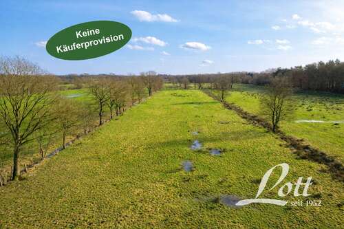 Foto - Grundstück in Apen Bokelermoor 36.900,00 € 11128 m²