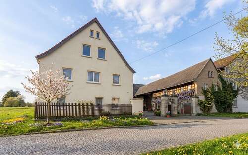 Foto - Haus zum Kaufen in Elsteraue 199.700,00 € 175 m²