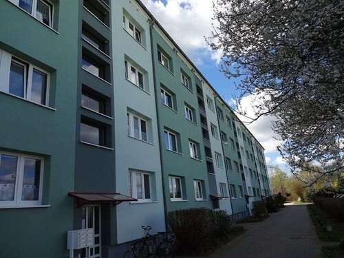 Foto - Wohnung zum Mieten in Neubrandenburg 260,00 € 33.8 m²