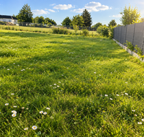 Grundstück zu verkaufen in Schaafheim 235.000,00 € 450 m²