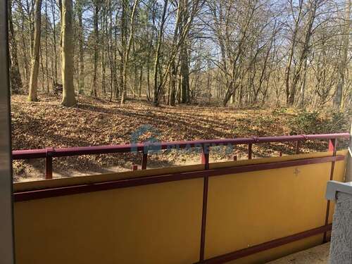 Foto - Wohnung zum Mieten in Schwerin 410,00 € 45.61 m²