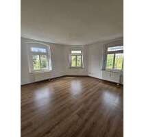 Wohnung zum Mieten in Reichenbach 300,00 € 60 m²