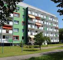 Wohnung zum Mieten in Döbeln 339,00 € 51 m²