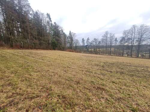 Foto - Grundstück in Königsstein Kappelberg 196.000,00 € 5772 m²