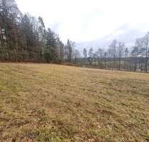 Grundstück in Königsstein Kappelberg 196.000,00 € 5772 m² - Königsstein / Kappelberg