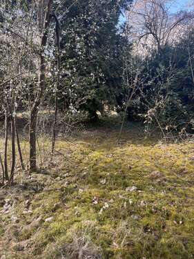 Foto - Grundstück zu verkaufen in Schulzendorf 270.000,00 € 1133 m²