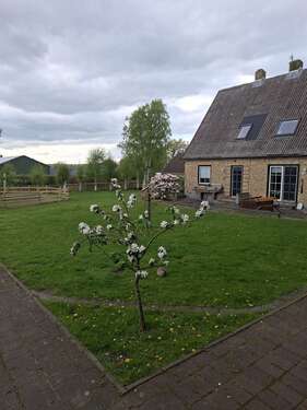 Foto - Haus zum Kaufen in Wohlde 545.000,00 € 174 m²