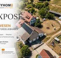 Haus zum Kaufen in Efringen-Kirchen Huttingen 869.000,00 € 338 m² - Efringen-Kirchen / Huttingen