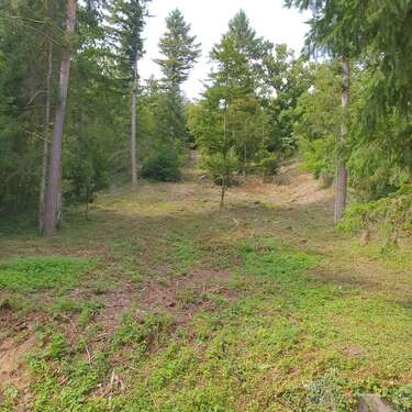 Foto - Grundstück zu verkaufen in Kieselbronn 39.900,00 € 2360 m²