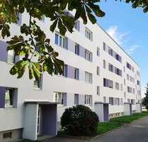 Wohnung zum Mieten in Callenberg 295,00 € 47 m²