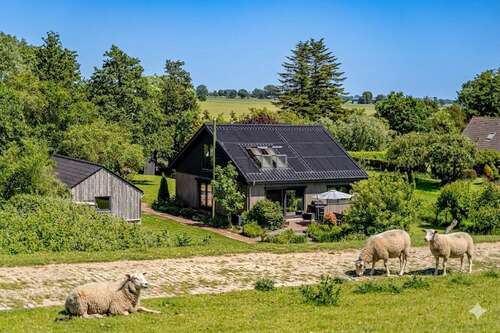 Foto - Haus zum Kaufen in Kollmar 598.000,00 € 130 m²