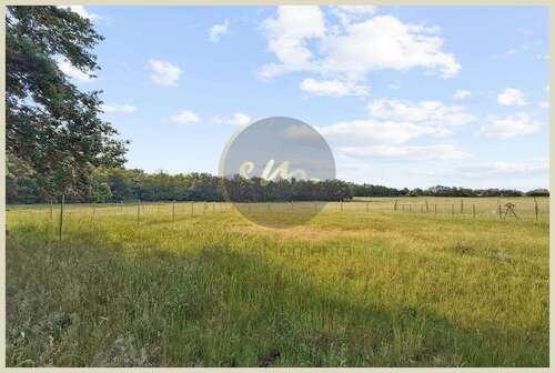 Foto - Grundstück zu verkaufen in Teltow 650.000,00 € 1342 m²