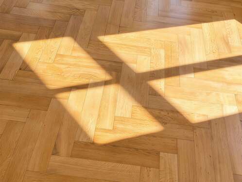 Foto - Wohnung zum Mieten in Dresden 1.699,00 € 146.62 m²