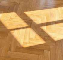 Wohnung zum Mieten in Dresden 1.699,00 € 146.62 m²