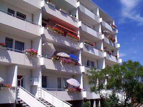 Foto - Wohnung zum Mieten in Magdeburg 409,80 € 54.64 m²