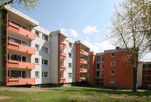 Foto - Wohnung zum Mieten in Hagen 285,85 € 41.13 m²