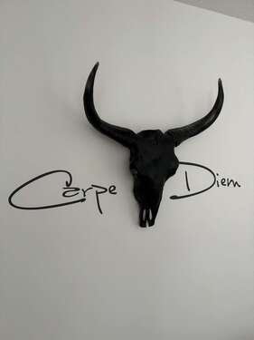 Foto - Wohnen auf Zeit in Leipzig 1.290,00 €