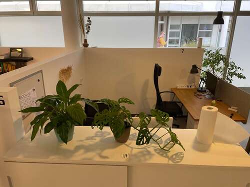 Foto - Büro in Freilassing 147,00 € 4 m²