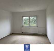 Wohnung zum Mieten in Leisnig 305,00 € 60 m²