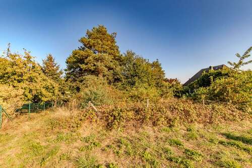 Foto - Grundstück zu verkaufen in Bergen (Dumme) 46.500,00 € 1095 m²