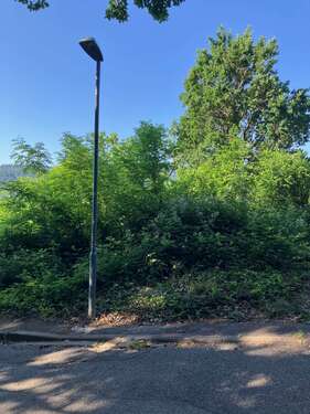 Foto - Grundstück zu verkaufen in Gernsbach 220.000,00 € 714 m²
