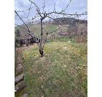 Grundstück zu verkaufen in Stuttgart 25.000,00 € 542 m²