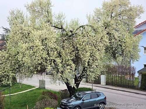 Foto - Wohnung zum Kaufen in Weilheim 335.000,00 € 79.73 m²