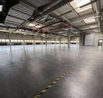 Halle in Ditzingen 19.200,00 € 2457 m²