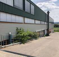 Halle in Ditzingen 19.200,00 € 2457 m²