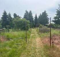 Grundstück zu verkaufen in Neu HartmannsdorfSpreenhagen 138.000,00 € 2342 m² - Neu Hartmannsdorf/Spreenhagen