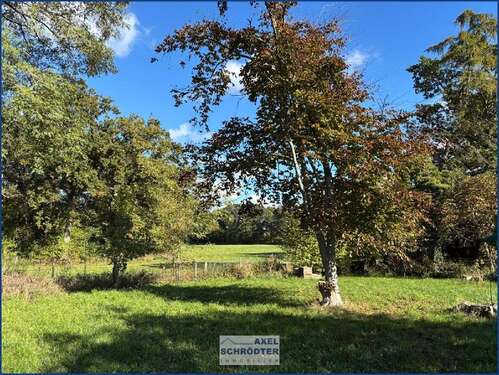 Foto - Grundstück zu verkaufen in Nienhagen 80.000,00 € 750 m²