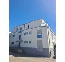 Wohnung zum Kaufen in Efringen-Kirchen 899.000,00 € 176 m²